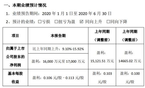 露笑科技2020年上半年業績預增，光伏發電業務展現韌性
